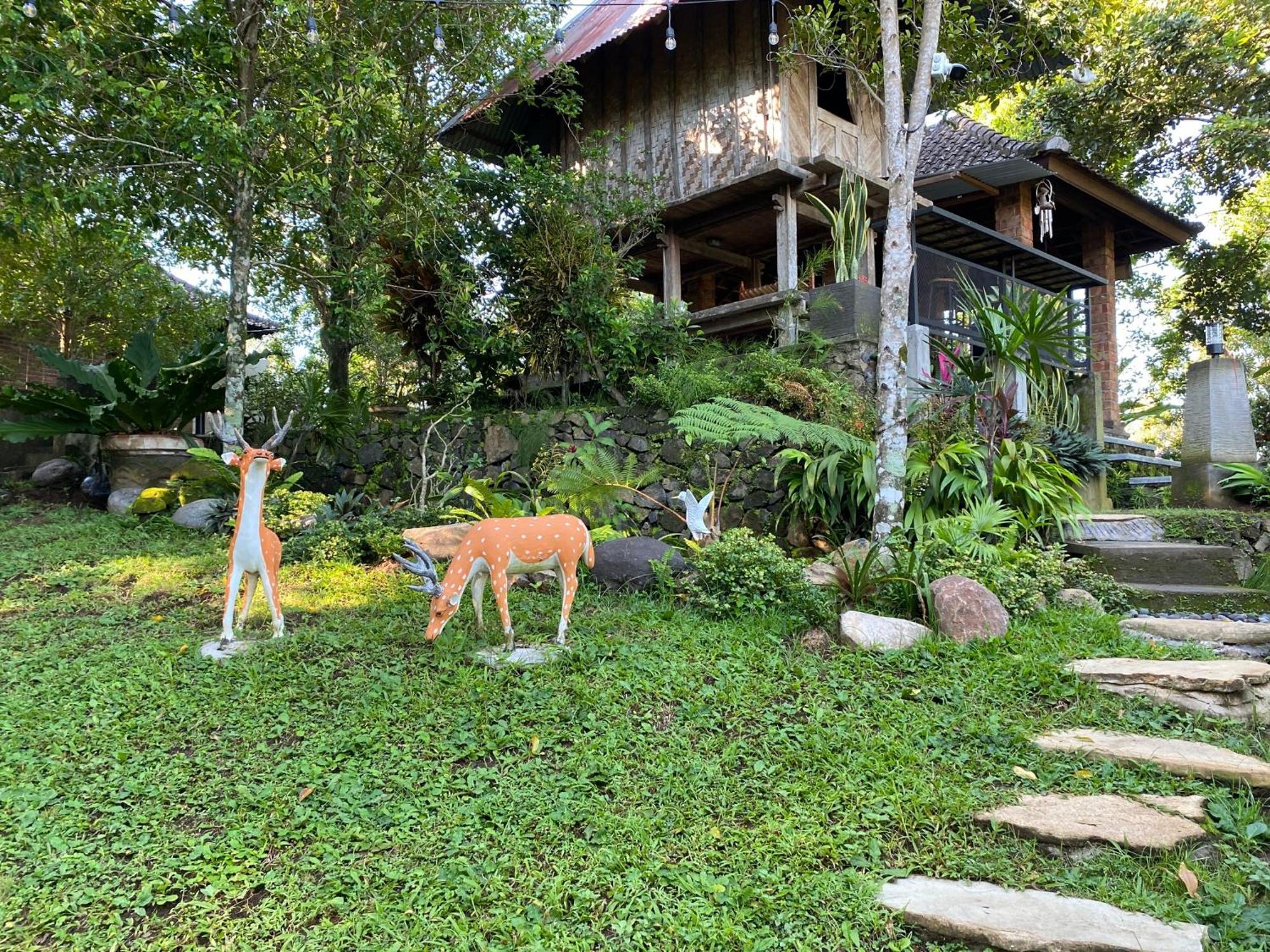 Mayong Bali Villa And Hostel Munduk  Ngoại thất bức ảnh